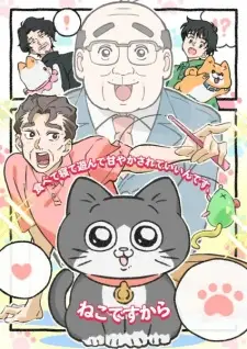 Neko ni Tensei shita Ojisan Episode 5 English Subbed